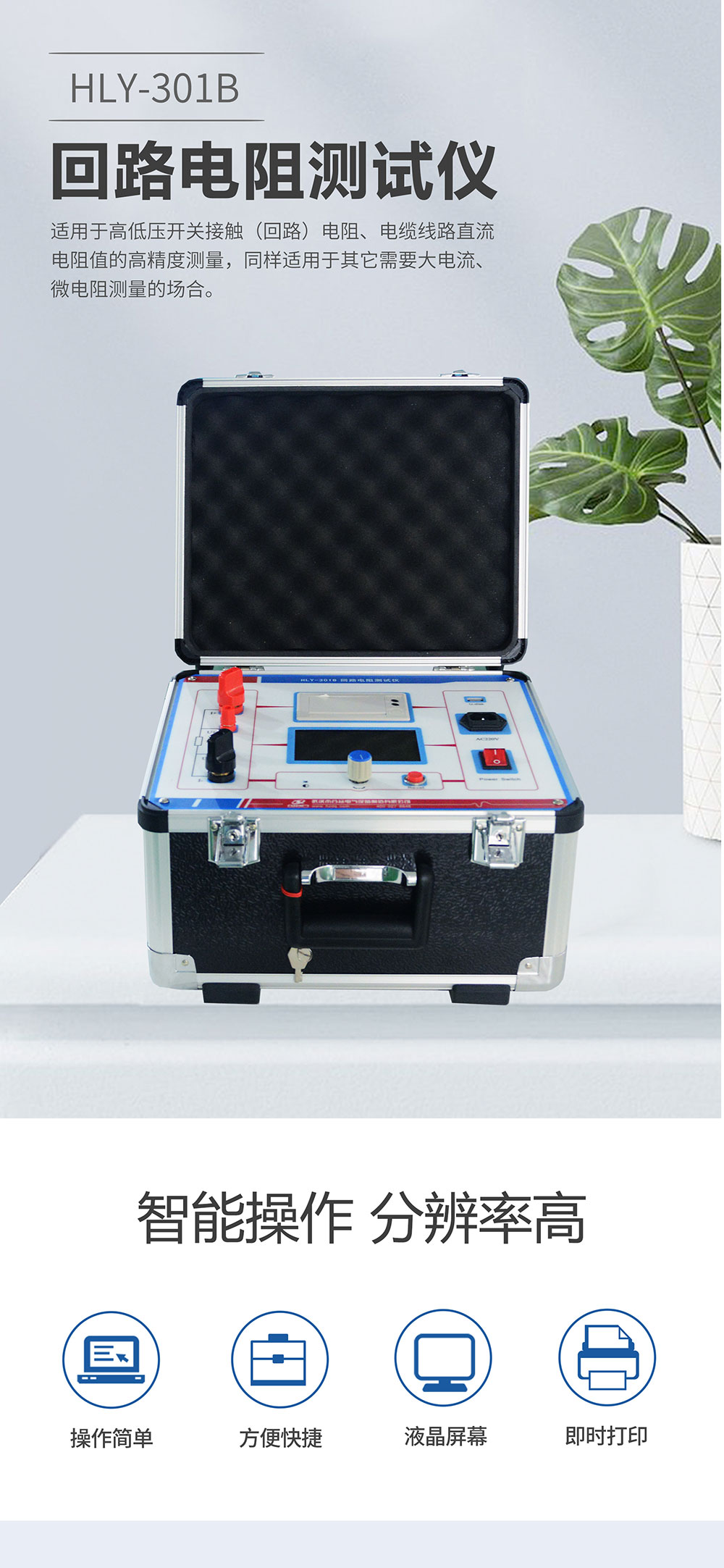 回路電阻測(cè)試儀 回路電阻測(cè)試儀